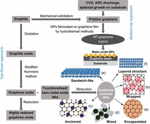 石墨烯基纳米材料在生物医学中的应用与环境健康风险 兼论生物基材料技术研发的前景