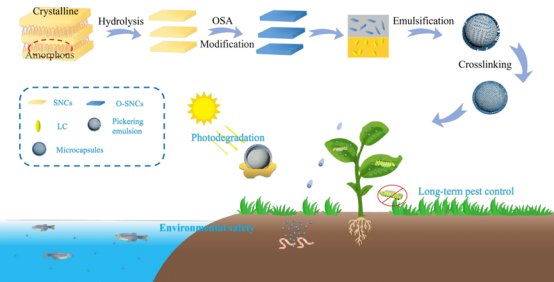 可降解淀粉基农药微胶囊 以生物基材料技术助力农业可持续发展